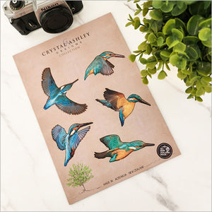Pop Out Set of 5 Kingfisher Birds
