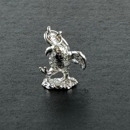 NZ Sterling Silver Kea Bird Charm - ShopNZ