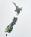 NZ Paua Map Wall Art