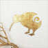 Antique Gold Koru Kiwi Bird Wall Art - ShopNZ
