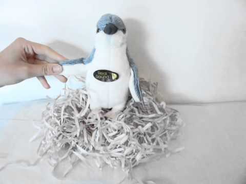 Little Blue Penguin Toy with Authentic Sound