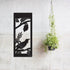 NZ Tui Bird on Kowhai Aluminium Panel - ShopNZ