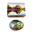 12cm Polished NZ Paua Shell in Descriptive Box - ShopNZ