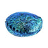 14cm Large Polished Paua Shell in Descriptive Box - ShopNZ