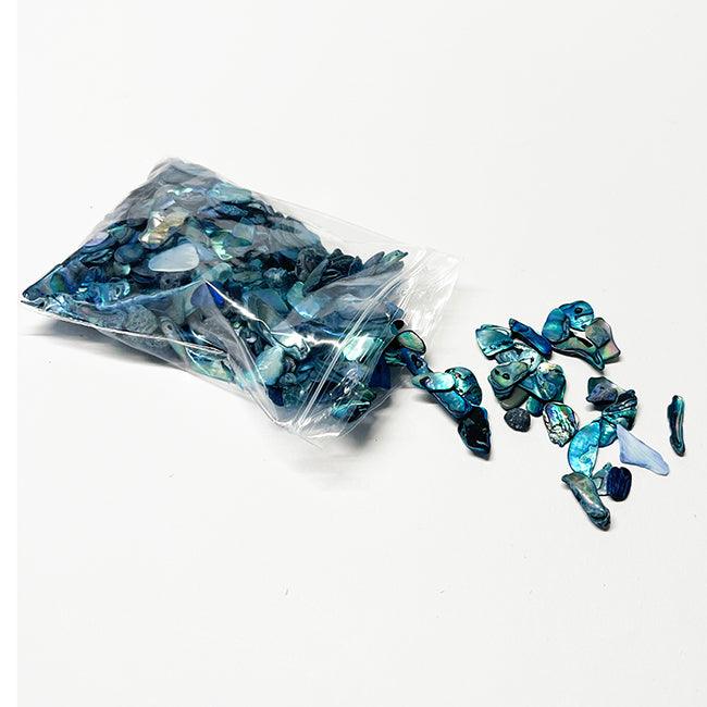 60g Pack of Small Tumbled Paua Pieces - ShopNZ