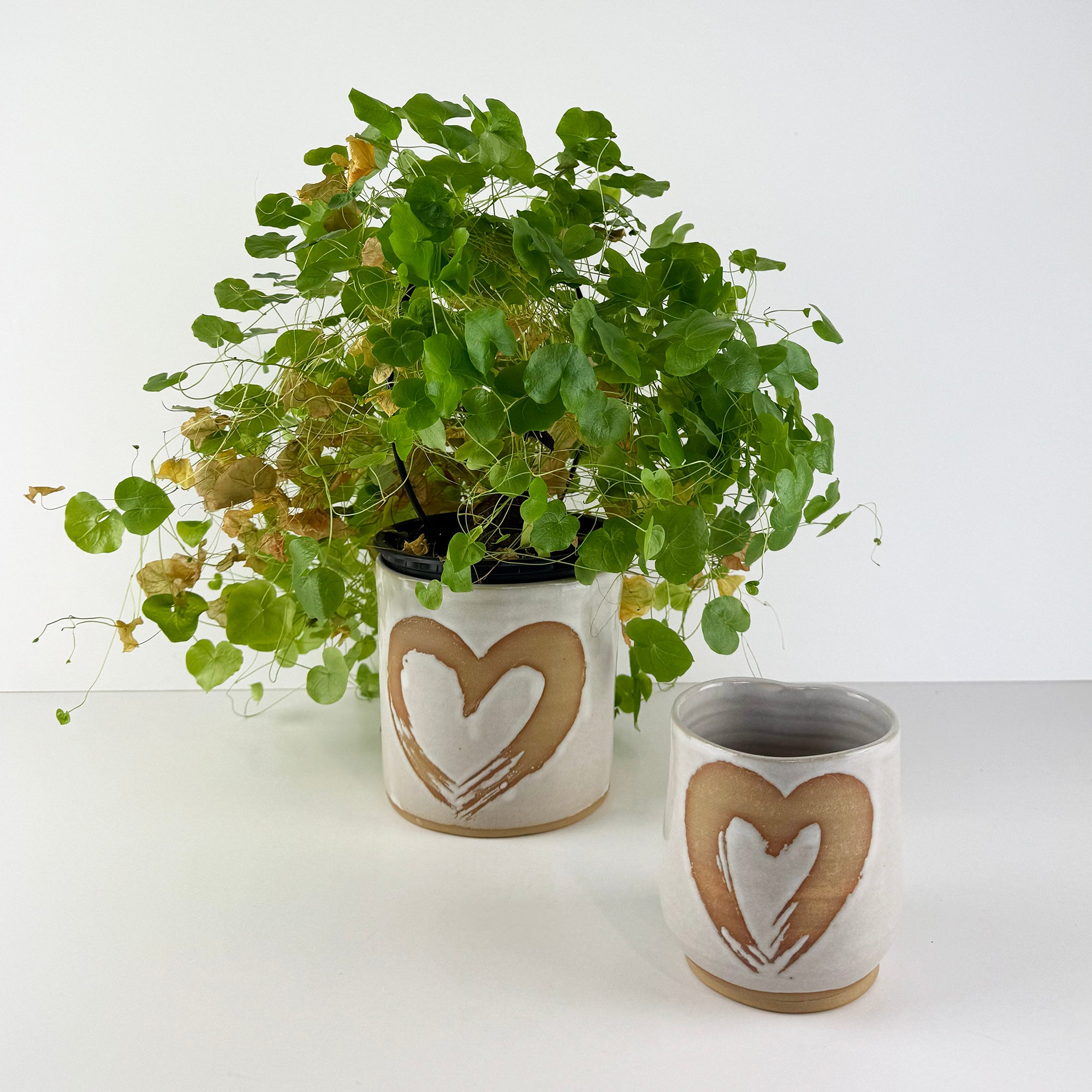 Beautiful NZ Handmade Plant Pot with Heart