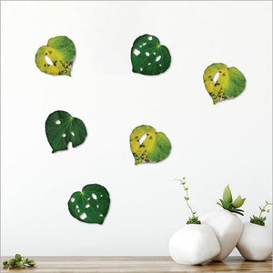 Set of 6 Kawakawa Leaves Wall Art - ShopNZ