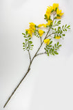 Beautiful NZ Kowhai Artificial Flower Branch