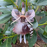 2023 NZ Native Kiwi Bird Fairy Doll