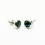 Stunning Paua Stud Earrings