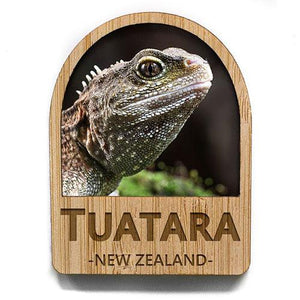 NZ Tuatara Fridge Magnet - ShopNZ