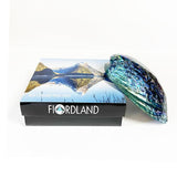 14cm Large Polished Paua Shell in Descriptive Box - ShopNZ