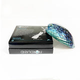 14cm Large Polished Paua Shell in Descriptive Box - ShopNZ