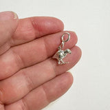 Sterling Silver Takahe Charm - ShopNZ