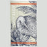 Aotearoa NZ Kiwi Bird Tea Towel in Orange Navy and Beige - ShopNZ