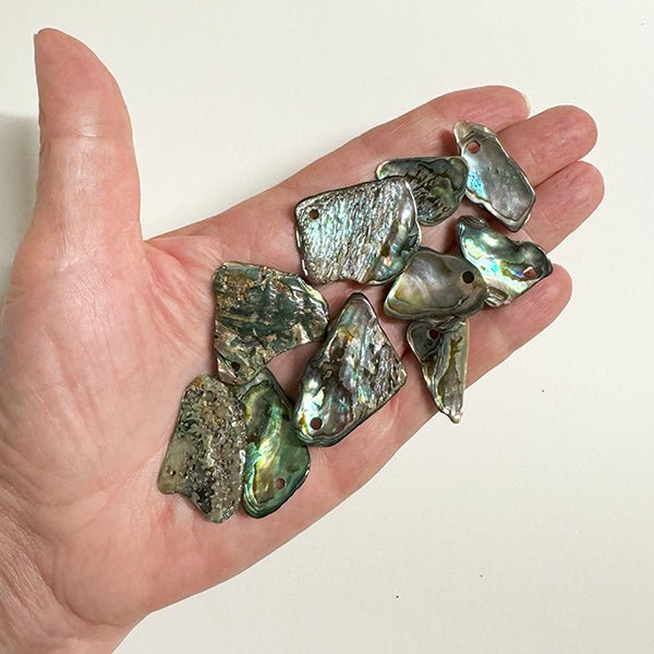 Bag of 10 Polished Paua Pieces with Hole for Cord or Wire - ShopNZ