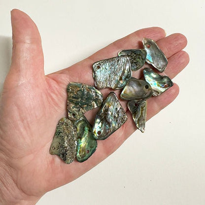Bag of 10 Polished Paua Pieces with Hole for Cord or Wire - ShopNZ