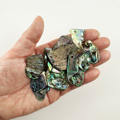 Bag of 20 Polished Paua Pieces with Hole for Cord or Wire - ShopNZ