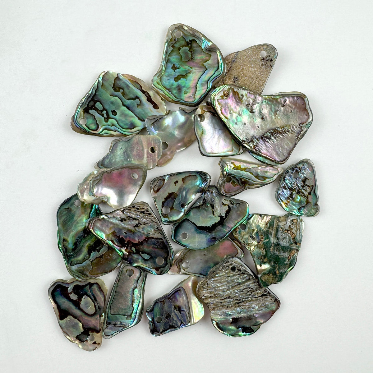 Bag of 20 Polished Paua Pieces with Hole for Cord or Wire - ShopNZ