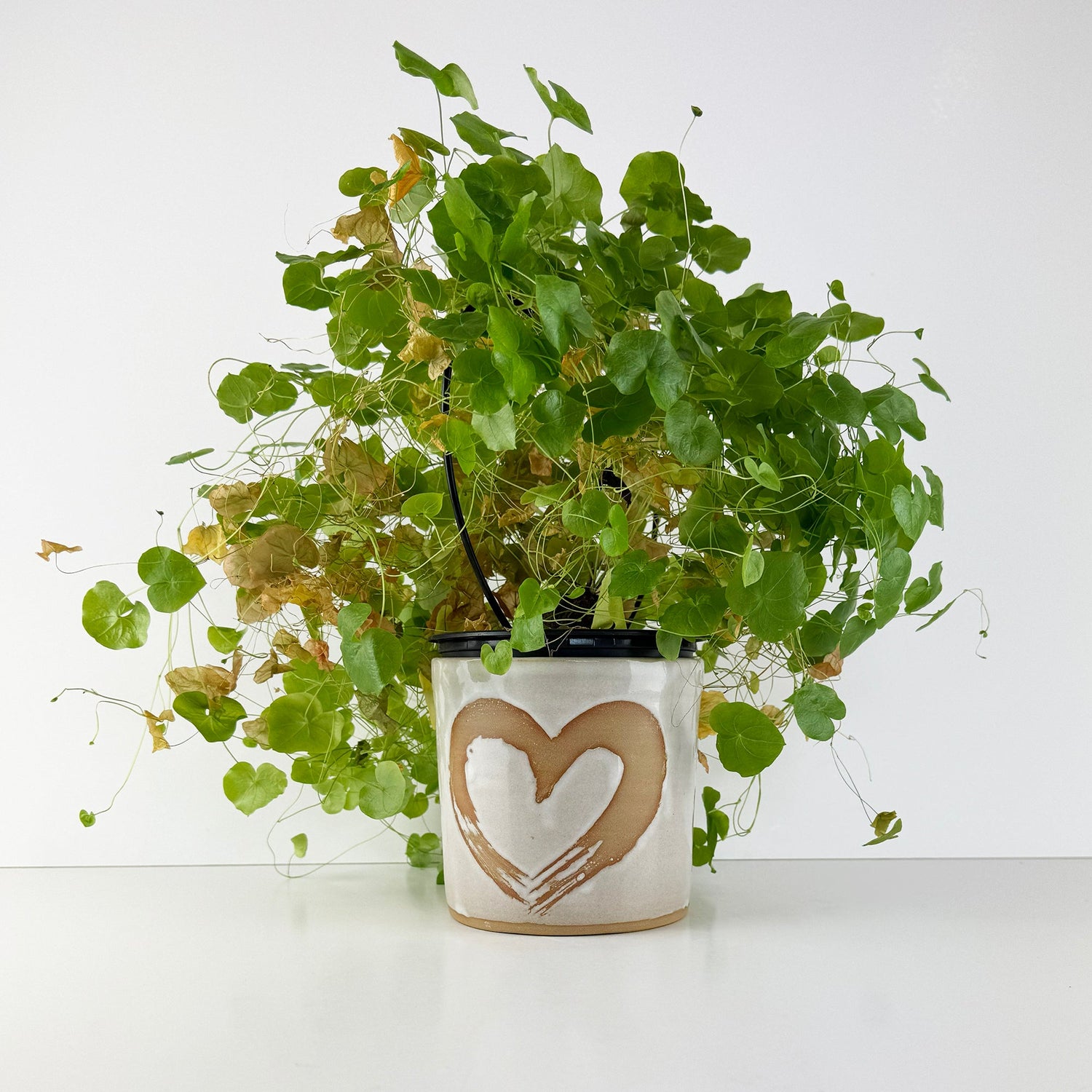 Beautiful NZ Handmade Plant Pot with Heart - ShopNZ