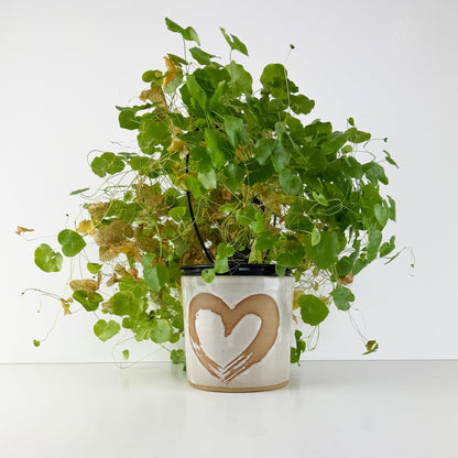 Beautiful NZ Handmade Plant Pot with Heart - ShopNZ
