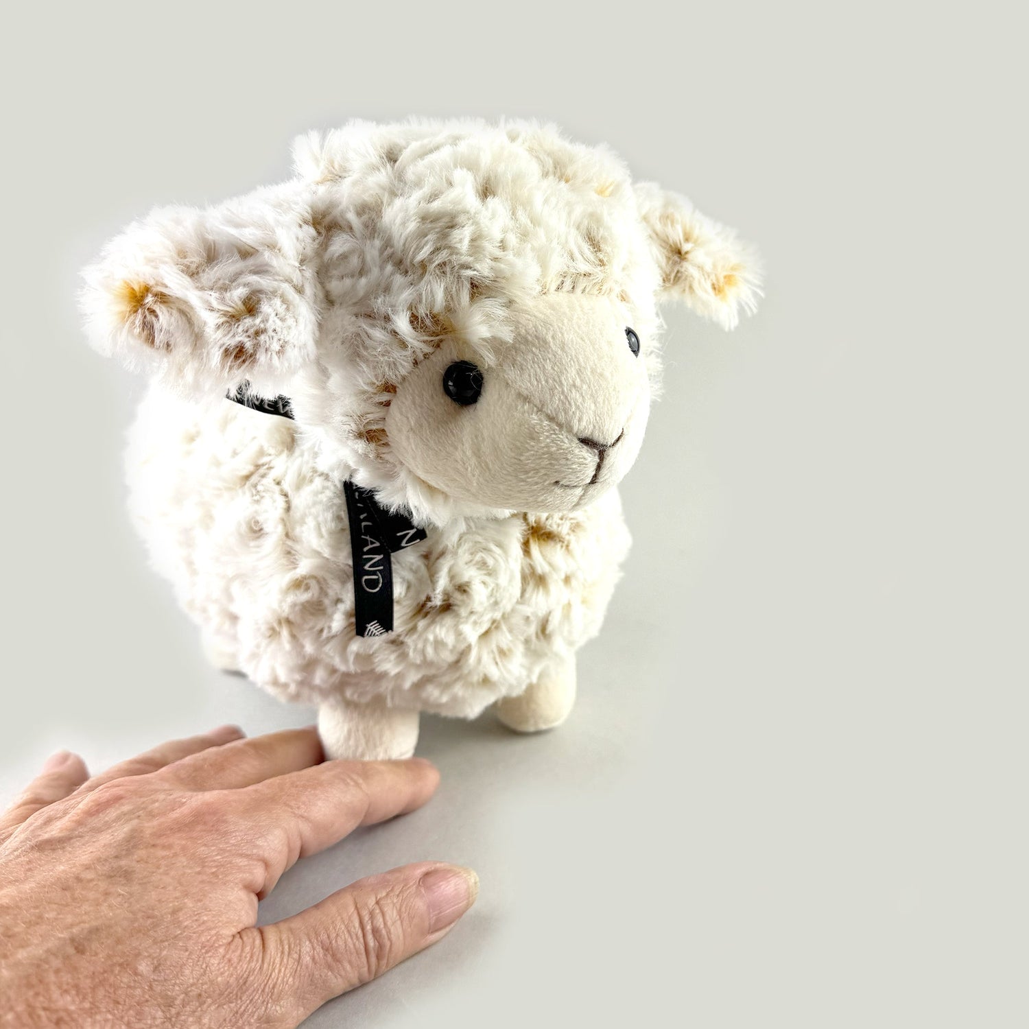Cute Standing Sheep Soft Toy with Black Ribbon and Curly Fleece - ShopNZ