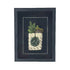 Greenstone Koru Necklace with Fern and Feather in Shadow Box - ShopNZ