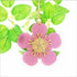 Iconic NZ Manuka Flower Christmas Tree Decoration - ShopNZ