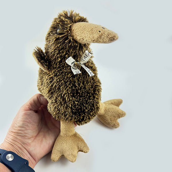 Lovely Soft and Cuddly Souvenir Kiwi Bird Plush Toy - ShopNZ