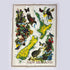 NZ Map Native Birds and Flowers Tea Towel - ShopNZ