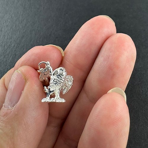 NZ Sterling Silver Kea Bird Charm - ShopNZ