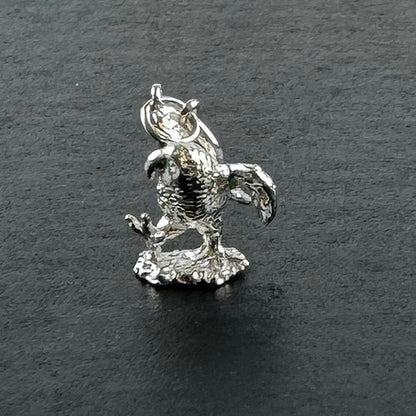 NZ Sterling Silver Kea Bird Charm - ShopNZ