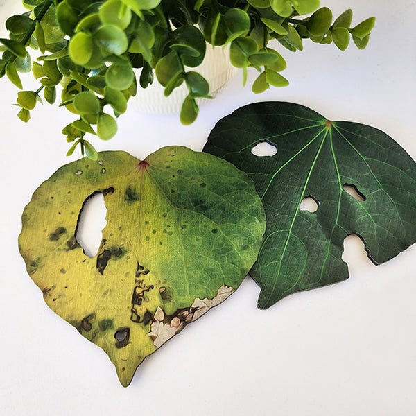Pop Out Kawakawa Leaves Wall Art - ShopNZ