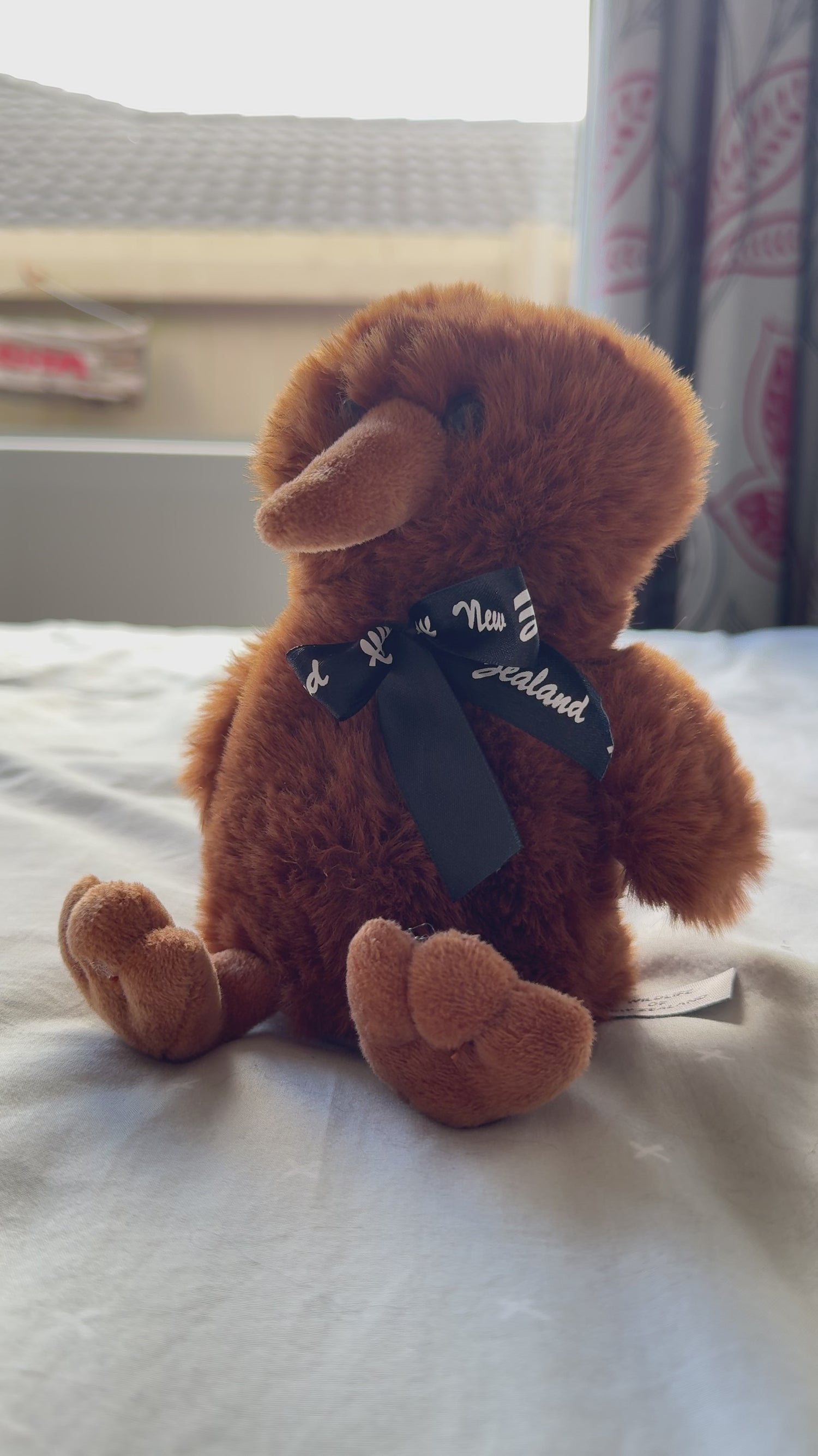 Fun Talking Kiwi Bird Toy - great for kids age 4+ and ideal for adults!