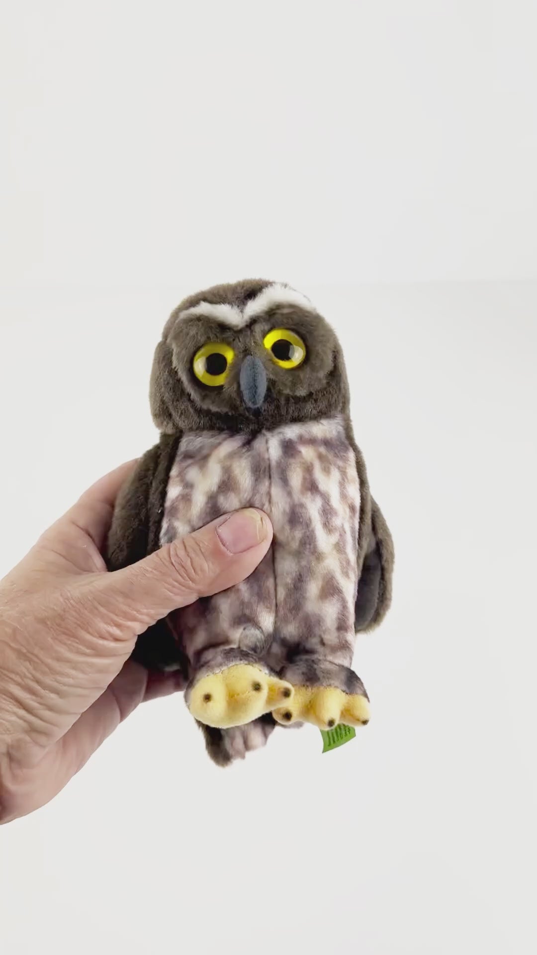 NZ Ruru Morepork Owl Soft Toy with Authentic Sound