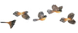 Set of 5 Coloured Flying Fantails Wall Art - ShopNZ