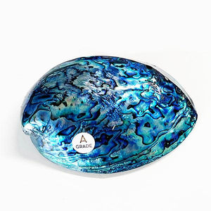 12cm A - Grade Large NZ Paua Shell - ShopNZ