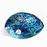 12cm A - Grade Large NZ Paua Shell - ShopNZ