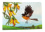 Set of 4 NZ Native Bird Placemats by Sophie Blokker