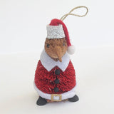 Cute Brush Kiwi Bird Santa Claus Xmas Ornament