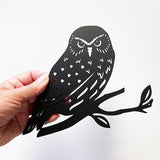 Acrylic NZ Made Ruru Morepork Owl Wall Art - ShopNZ