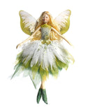 2016 NZ Toe Toe Grass Fairy Doll - ShopNZ