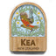 Native NZ Kea Bird Fridge Magnet