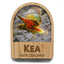 Kea Bird NZ Fridge Magnet