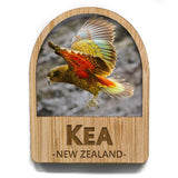 Kea Bird NZ Fridge Magnet - ShopNZ