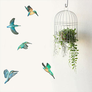Set of 5 Flying Kingfishers Wall Art