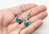 Pretty Offset Teardrop Paua Earrings - ShopNZ