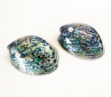 Top Grade XL Size Polished NZ Paua Shell - ShopNZ