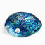 12cm A-Grade Large NZ Paua Shell