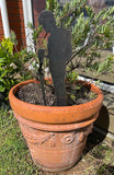 ANZAC Day Remembrance Guarding Soldier in Corten Steel - ShopNZ